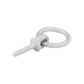 Ringbout M 10 x 35 mm metaal - 43 mm totaal